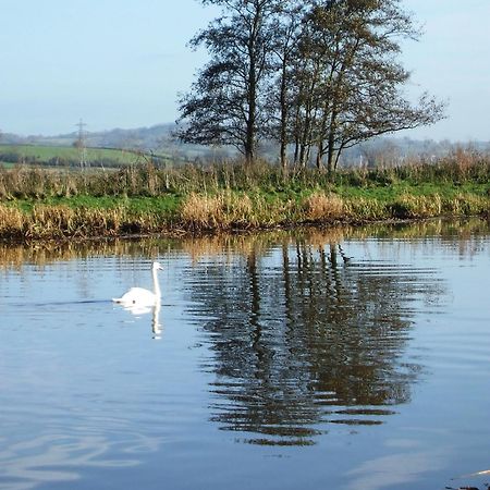 The Bower Inn بريدجواتر المظهر الخارجي الصورة Swans on the River Wye